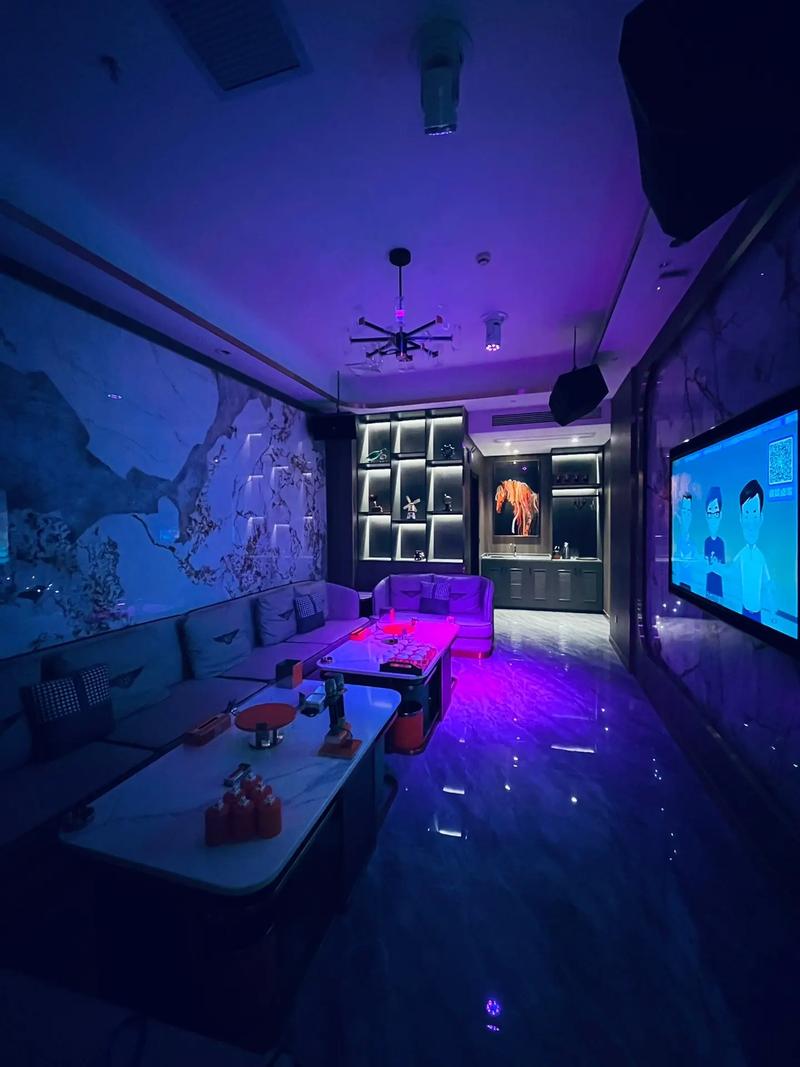 平顶山商务ktv，商务ktv解释utto通俗易懂-宝丰县ktv预定